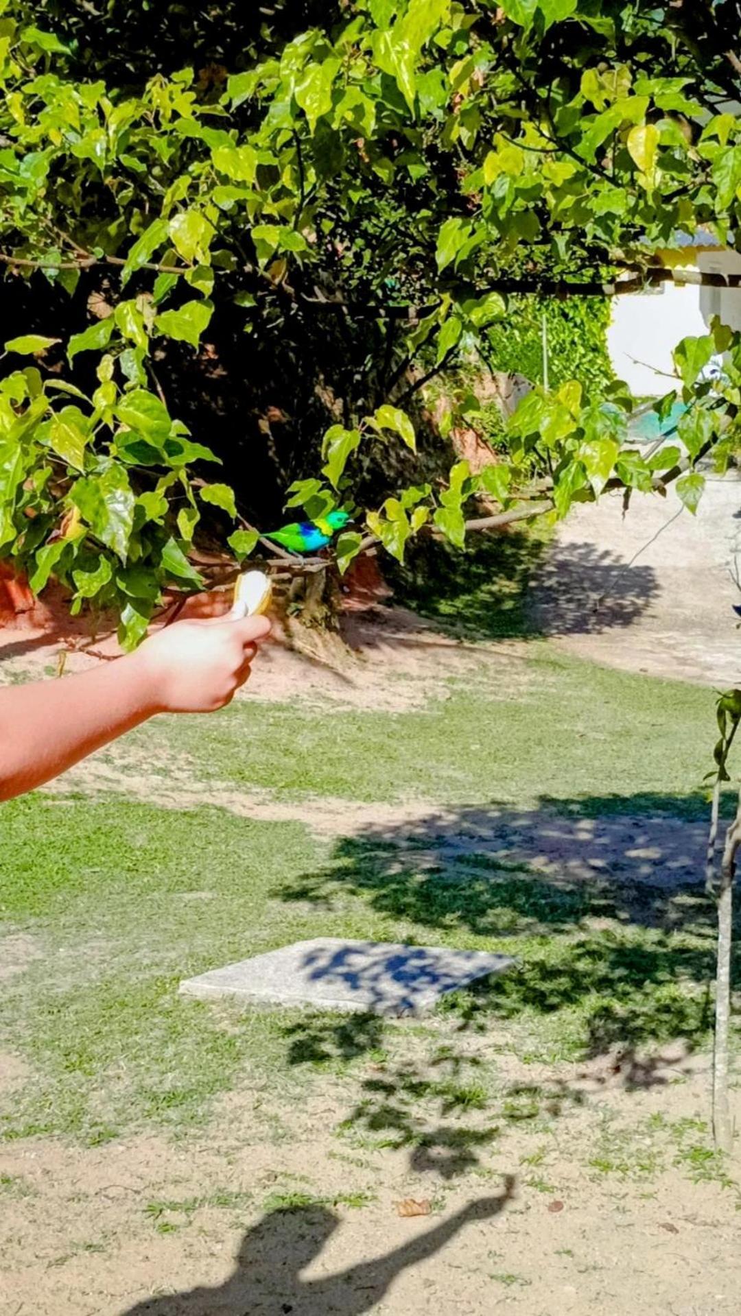 Pousada Casa Da Montanha Sana Exteriör bild